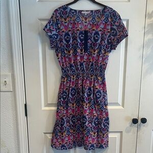 Tin Haul Vibrant Patterned Cotton Dress